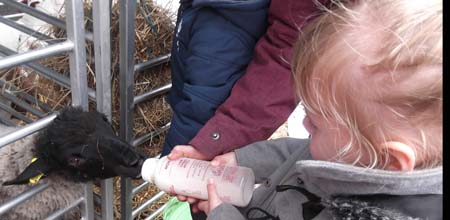 Fishers Mobile Farm @ Atherton St Georges Primary School